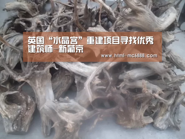 英国“水晶宫”重建项目寻找优秀建筑师-新葡京