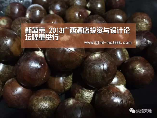 新葡京_2013广西酒店投资与设计论坛隆重举行